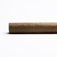AVO XO Notturno ND Cello Cigar - 1 Single